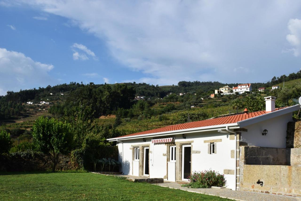 Casa De Carrapatelo Hotel Mesão Frio Kültér fotó